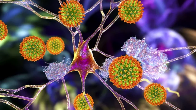 মস্তিষ্কে করোনার প্রভাব থাকে বছরের পর বছর ল্যানসেট জার্নালে নতুন গবেষণা প্রকাশ