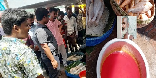 মোরেলগঞ্জে মাছে রং মিশ্রনের অপরাধে ব্যবসায়ীকে অর্থদন্ড
