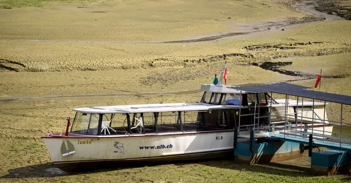 ৫০০ বছরের মধ্যে সবচেয়ে ভয়াবহ খরার কবলে ইউরোপ