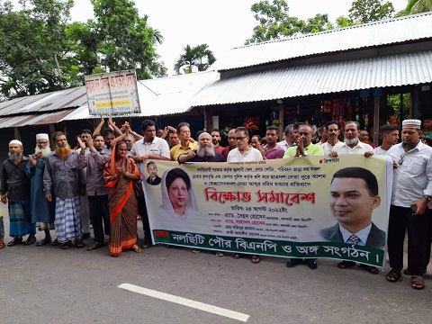 নলছিটিতে বিএনপি'র বিক্ষোভ সমাবেশ