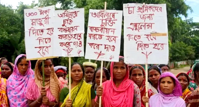 প্রধানমন্ত্রীর ঘোষণার পর কাজে ফিরবেন চা শ্রমিকরা
