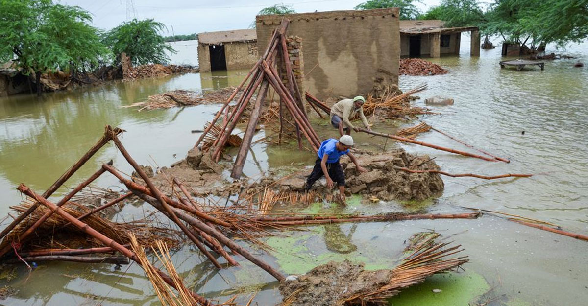 ভয়াবহ বন্যা: পাকিস্তানে জরুরি অবস্থা জারি, নিহত বেড়ে ৯৩৭