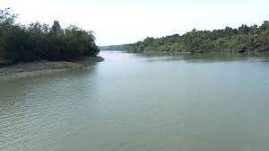 সুন্দরবনে প্রবেশের নিষেধাজ্ঞা উঠছে ১ সেপ্টেম্বর