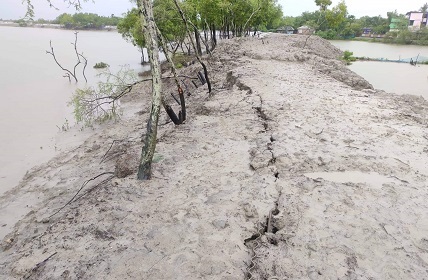 কামারখালি ও শ্যামনগরের বিড়ালক্ষী এলাকায় পাউবো’র ভেড়িবাঁধে ফাটল