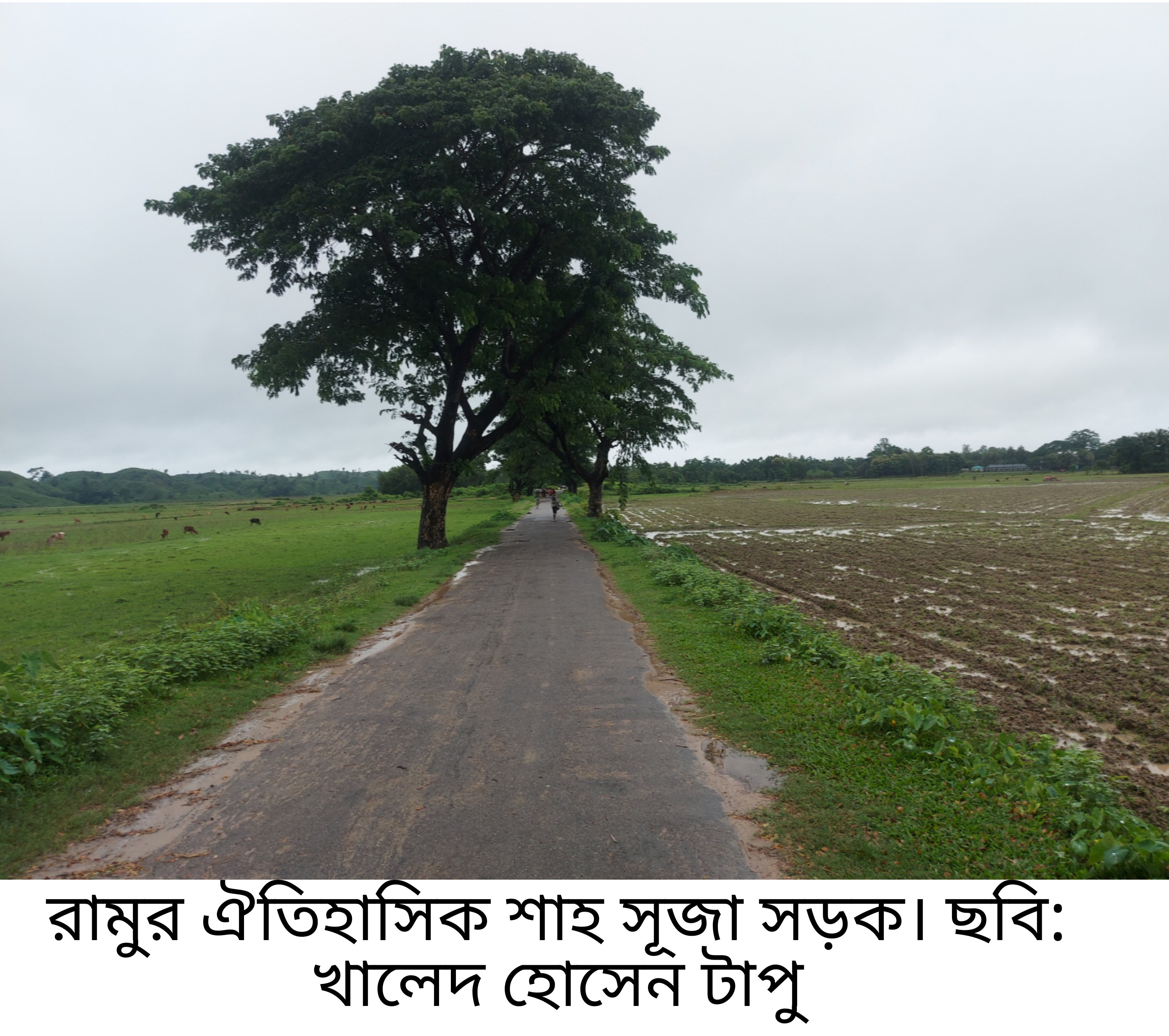 ঐতিহাসিক শাহ সূজা সড়ক সংস্কার ও চালু হলে উন্মোচিত হবে যোগাযোগ ও বাণিজ্য সম্ভাবনার নবদিগন্ত