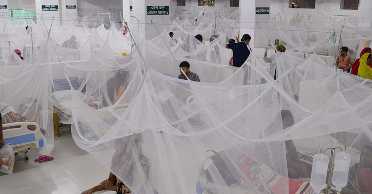 একদিনে রেকর্ড ৪৩৮ ডেঙ্গু রোগী হাসপাতালে ভর্তি