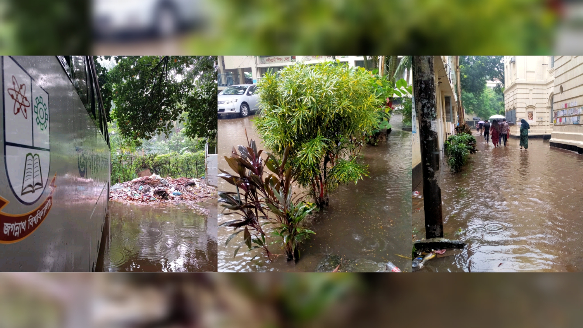 জবির ভেতর দিয়ে সিটি কর্পোরেশনের ড্রেন, জলাবদ্ধতায় ডেঙ্গু আতঙ্ক