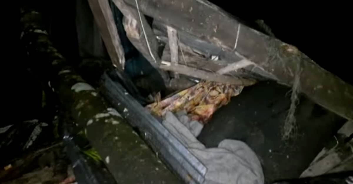 আট জেলায় ১৪ জনের প্রাণ কেড়ে নিল ঘূর্ণিঝড় সিত্রাং