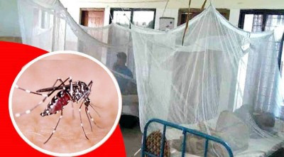 ডেঙ্গুতে আরও ৭ জনের মৃত্যু, হাসপাতালে আছে ৮৭৫