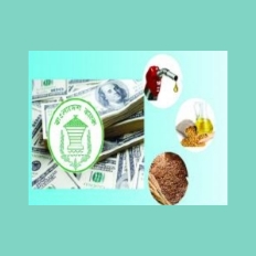 আমদানিতে লাগাম টানা হয়েছে তবুও জরুরি পণ্যে ফুরাচ্ছে রিজার্ভ