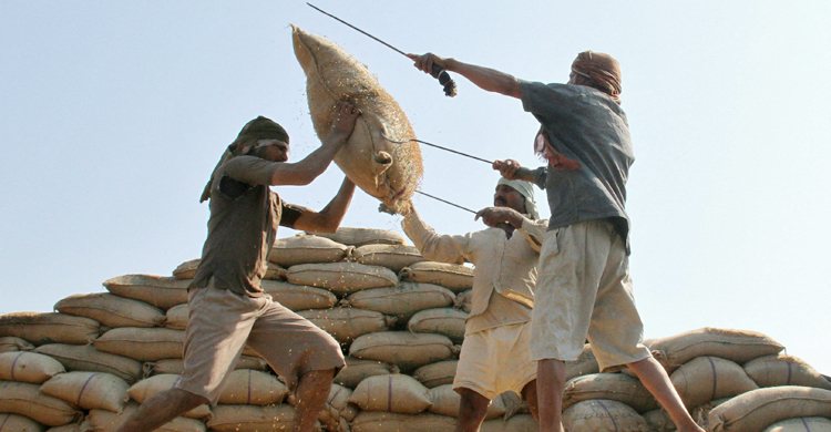 ডলারের দাম বাড়ায় চাল আমদানিতে অনীহা, ঝুঁকি নিতে চান না ব্যবসায়ীরা