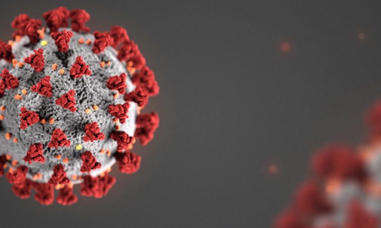 করোনায় শনাক্ত  ২ লাখ,মৃত্যু বেড়েছে আরও পৌনে ৪শ