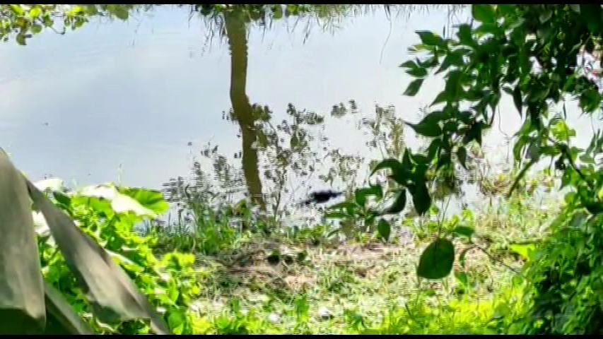 ফরিদপুরে ডোবা থেকে বৃদ্ধের লাশ উদ্ধার