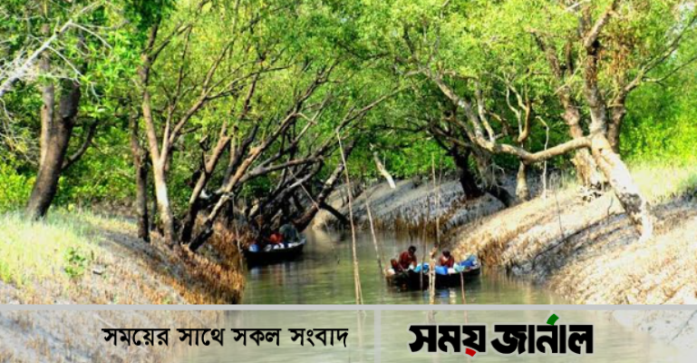 বনকর্মকর্তাদের ম্যানেজ করে সুন্দরবনে চলছে মাছ শিকার