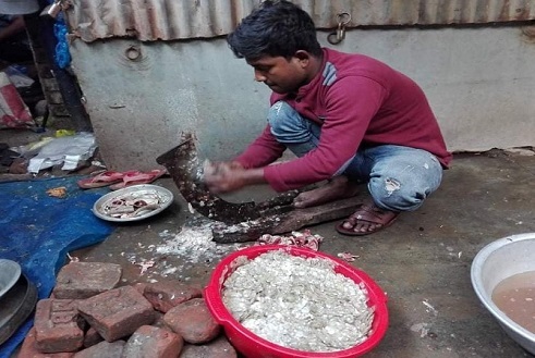 সম্ভাবনার নতুন দুয়ার খুলে দিচ্ছে ফেলে দেয়া মাছের আঁশ