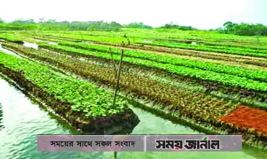 এখন মই ভালোই আছম, খাবারও পাম, বাজারত বিকে আসম: নারী কৃষক শরিফা