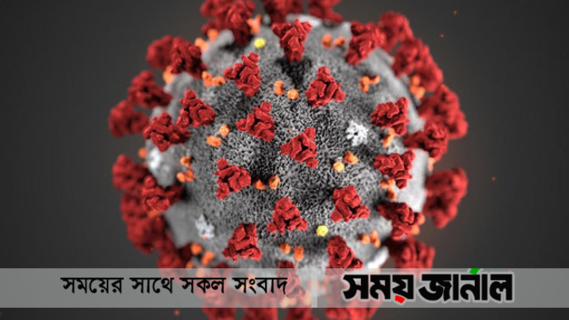 করোনায় ৯ শতাধিক মৃত্যু, শনাক্ত ৪ লাখের কম