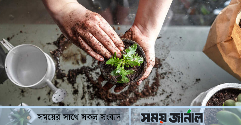 শীতে গাছের যত্ন