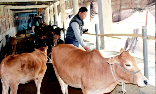 ৭০ হাজার টাকায় শুরু, বাৎসরিক আয় ১০ লাখ