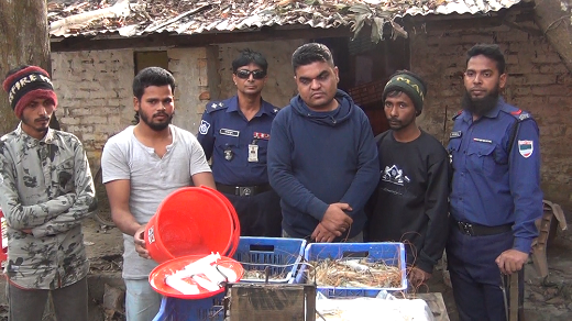 সাতক্ষীরায় চিংড়ীতে জেলি পুশের দায়ে এক জনের কারাদন্ড জরিমানা