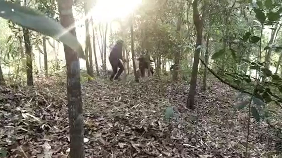 জঙ্গি নেতার খোঁজে রোহিঙ্গা ক্যাম্পে র‌্যাবের অভিযান