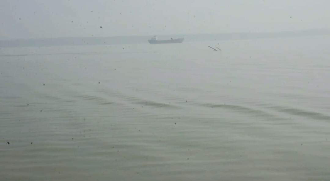 চালকের ভুলে ৫০০ টন সার নিয়ে ডুবে যায় লাইটার জাহাজটি