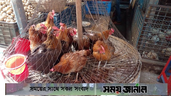 মনোহরদীতে ব্রয়লার মুরগীর দাম বৃদ্ধির নতুন রেকর্ড