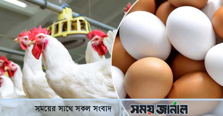 ডিম-মুরগির দাম বৃদ্ধি: খামারে স্বস্তি, বাজারে অস্বস্তি