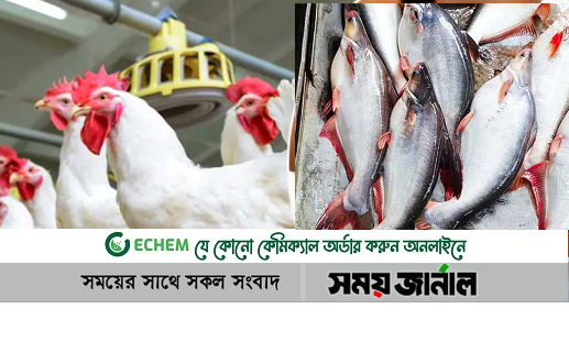 বাজারভরা জিনিস, কিন্তু কিছুই কেনা যাচ্ছে না