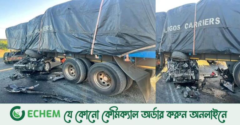 দক্ষিণ আফ্রিকার সড়কে প্রাণ গেল ৫ বাংলাদেশির