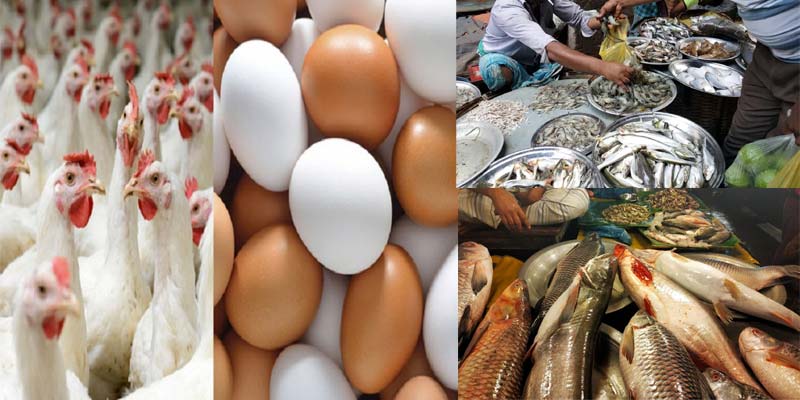 ডিম ও মুরগির বাজারে স্বস্তির আভাস নেই