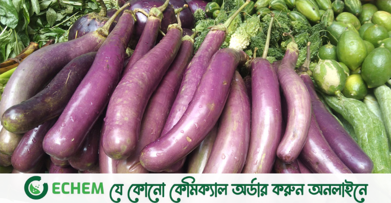 বেগুনের কেজি ১০০, ছোলার দামও বাড়তি