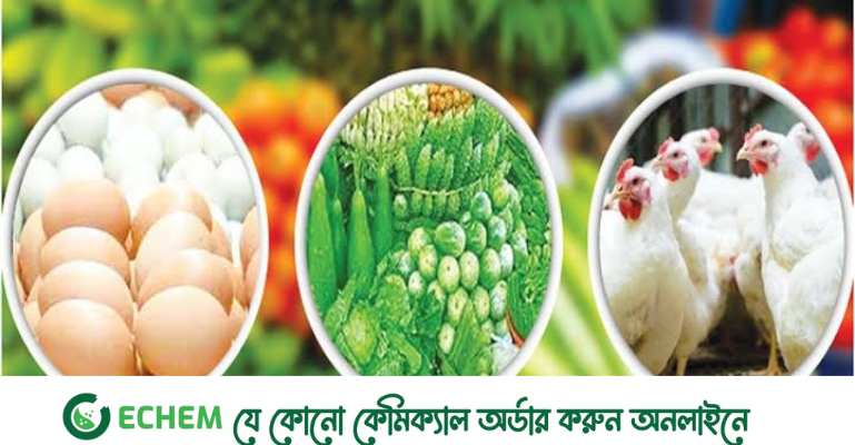 ব্রয়লার ও ডিমে কিছুটা স্বস্তি, অস্বস্তি বাড়ছে সবজিতে