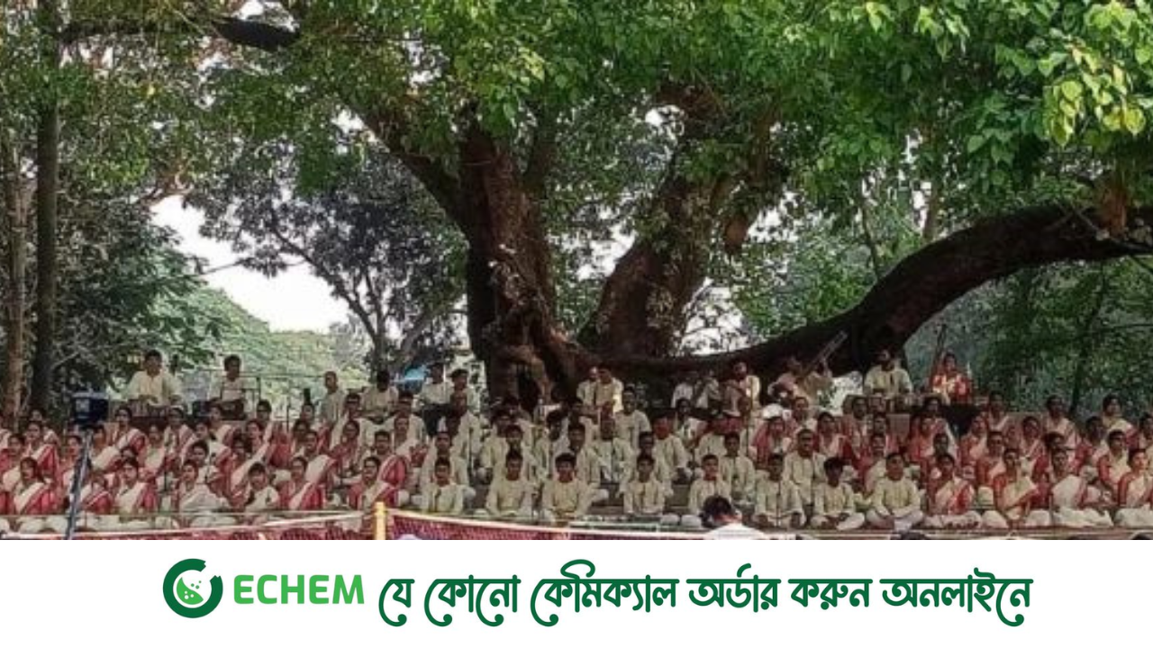 রমনার বটমূলে চলছে ছায়ানটের বর্ষবরণ অনুষ্ঠান