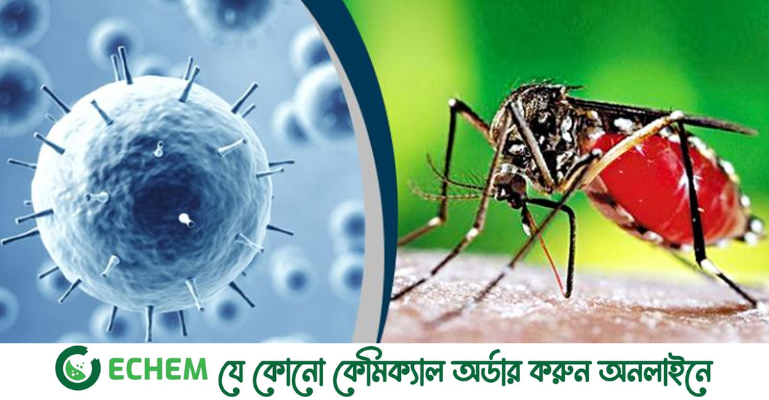 স্বস্তিদায়ক অবস্থায় করোনা ও ডেঙ্গু