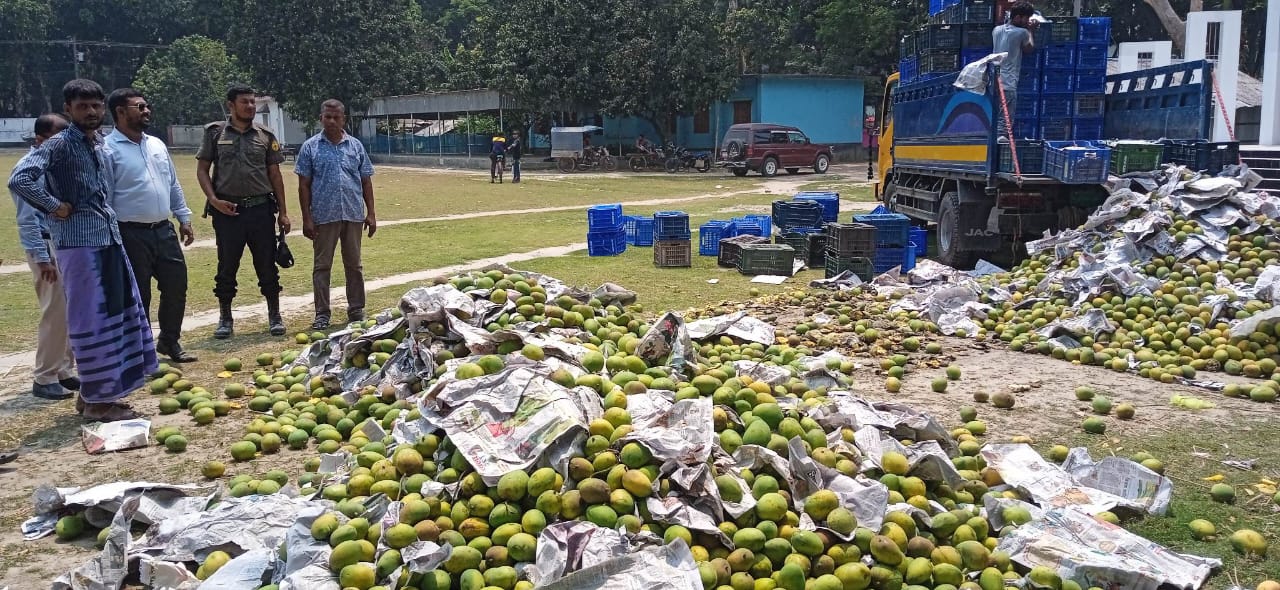 ১৩ দিনে সাতক্ষীরায় ৬০ হাজার ৮৪০ কেজি আম বিনষ্ট