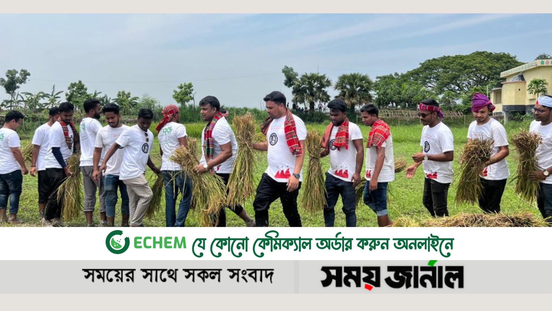 কৃষকের ধান কেটে দিল জাবি শাখা ছাত্রলীগ