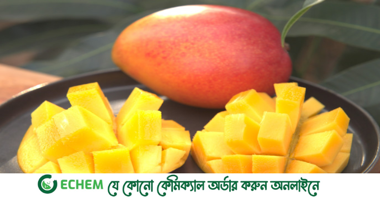 জাপানে যেভাবে উৎপাদিত হচ্ছে বিশ্বের সবচেয়ে দামি আম