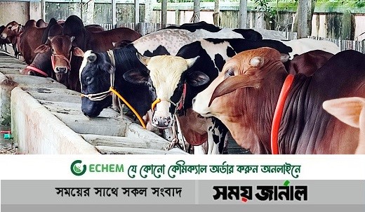 এবারও গরু-ছাগল নিয়ে প্রস্তুত খামারিরা, চান সীমান্তে কড়াকড়ি