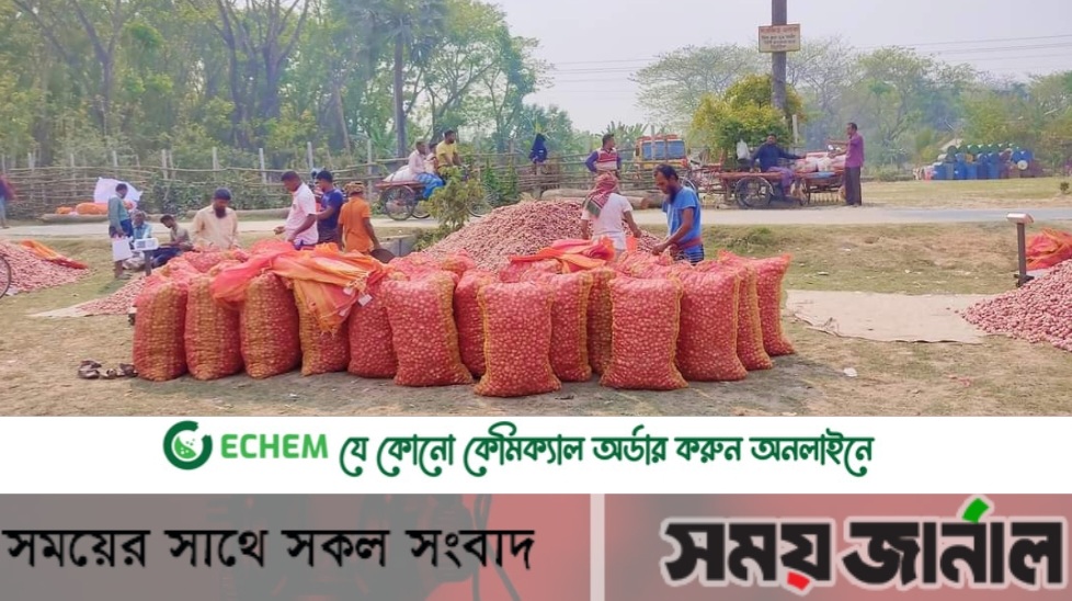 ফরিদপুরে কমতে শুরু করেছে পেঁয়াজের দর
