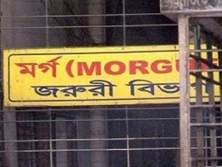 আম নিয়ে মারামারিতে বৃদ্ধার মৃত্যু