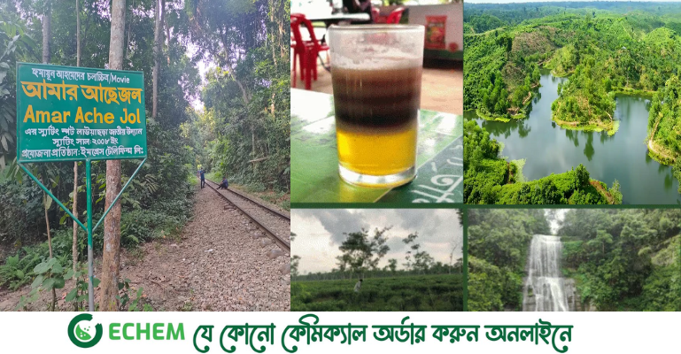 বর্ষায় ঘুরে আসুন মৌলভীবাজারের ঝর্ণা ও সবুজের সমারোহে