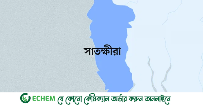 সাতক্ষীরায় সড়ক দুর্ঘটনায় দুই জন নিহত