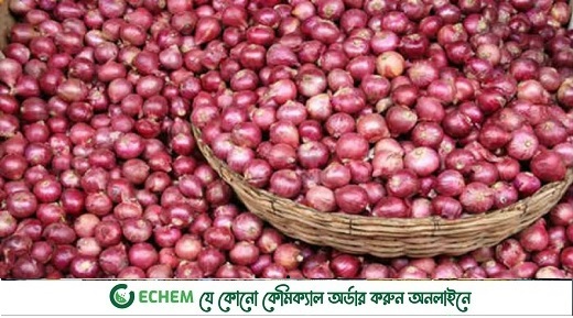 আজ থেকে পেঁয়াজ আমদানির অনুমতি
