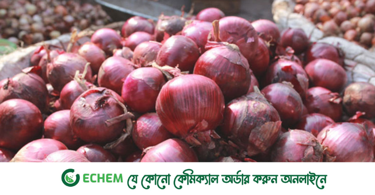অর্ধেকে নামল পেঁয়াজের দাম