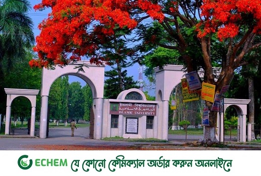 ৬ দিন ক্লাসের ব্যবধানে ইবিতে দুই ছুটি: ক্লাসে ফেরেননি অধিকাংশ শিক্ষার্থী