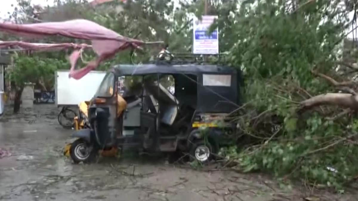 গুজরাটে এক হাজার গ্রাম বিদ্যুৎহীন, ভেঙে পড়েছে ৫ শতাধিক গাছ