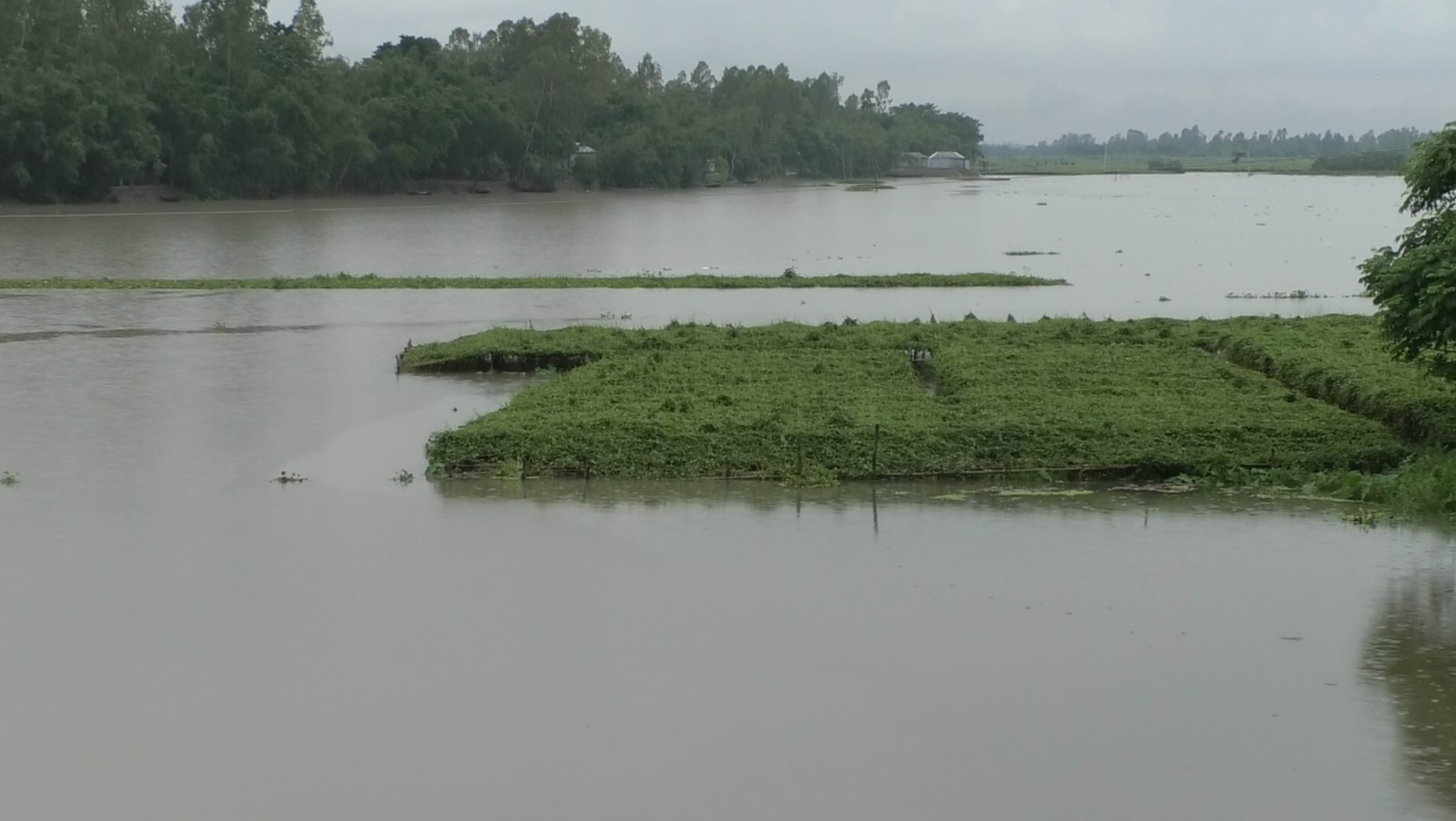 কুড়িগ্রামে বাড়ছে নদ-নদীর পানি, বন্যার শঙ্কায় চরাঞ্চলের মানুষ