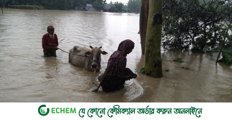 তিস্তার পানি বিপদ সীমার উপরে, পানিবন্দি পরিবারে বেড়েছে দূভোর্গ