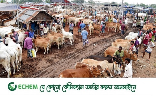 পশুর হাটে জাল নোট শনাক্তের মেশিন ব্যবহার